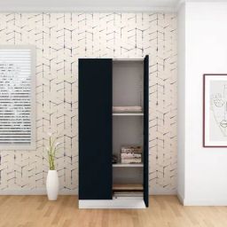 Godrej Interio Slimline 2-Door Steel Almirah, Pac Blue (1-Year Warranty)-image-73