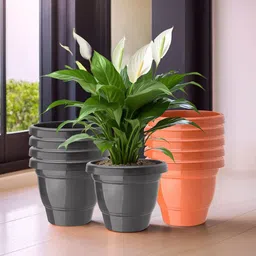 Kuber Industries Pack Of 10 Orange & Black Planters-28