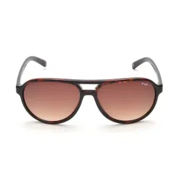 IRUS By IDEE IRS1009C2SG Brown Aviator-image-9