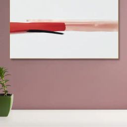 Nestroots Bold Red and Black Gold Frame Solid Canvas Wall Painting-13