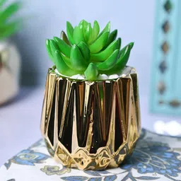 MARKET99 Gold-Toned & Green Alstroemeria Aloe Vera Hanging Artificial Plant With Pot-16