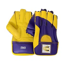 CW Men Wicket Keeping Gloves-picture-2