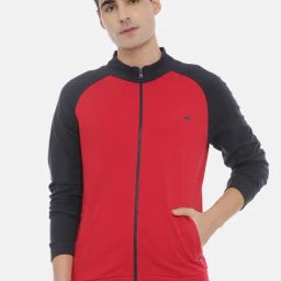 3PIN Multi Regular Fit Cotton Colour-Block Sweatshirt-picture-5