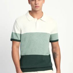 The Bear House Green Regular Fit Colour Block Polo T-Shirt-picture-49