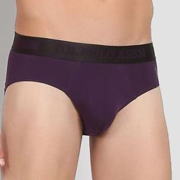 U.S. Polo Assn. Purple Briefs-picture-26