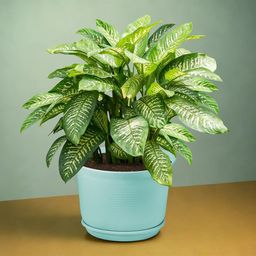 Kuber Industries 3-Pcs White & Grey Durable Planter with Plate image 2