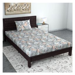 Divine Casa 100% Cotton 120 TC Single Bedsheet with 1 Pillow Covers - Peach & White-image-20