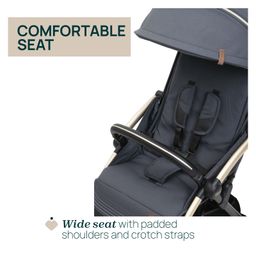 Chicco Goody Xplus 5 Point Safety Harness With Adjustable Canopy Stroller - Dark Shadow image 5