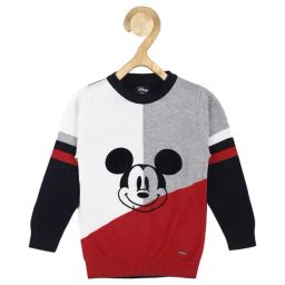 Allen Solly Junior Multicolor Color Block Sweater-image-3