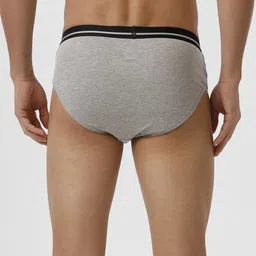 Ramraj Men Pack of 4 Solid 100% Soft Combed Fine Jersey Outer Elastic Plus Size Briefs image 2