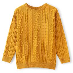 Pine Kids Full Sleeves Cable Knit Solid Pullover Sweater - Mustard-image-46