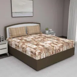 GM Brown 100% Cotton 180 TC Queen Bedsheet Set-image-44