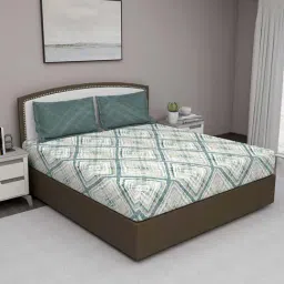 GM Green & Beige 100% Cotton 210 TC King Bedsheet Set-image-22