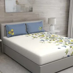GM 'Matthiola' Yellow & Blue Cotton 150 TC Double Bedsheet with 2 Pillow Covers-image-77