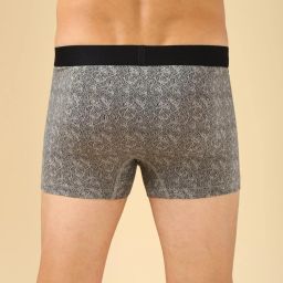 Van Heusen Multicolored Regular Fit Printed Trunks - Pack Of 2 image 3