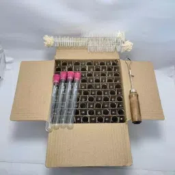 GENERIC 15x125 mm Transparent Test Tube with Rim, Holder, Cork & Cleaning Brush for Laboratory, tt15*125wstopcom-1 (Set of 204)-14