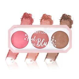 Matt Look Feel The Blush Trio Palette 01 In the Nude - 15 gm-12