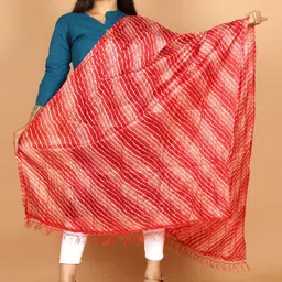 Apratim Printed Dupatta-picture-21
