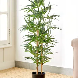 Home Centre Green Bamboo Artificial Plant With Pot-image-44