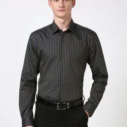 Peter England Grey Cotton Regular Fit Striped Shirt-image-25