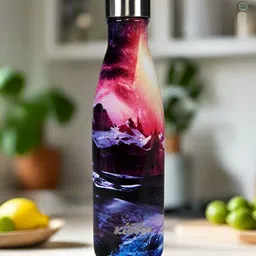 Smily Kiddos Pink & Blue Single Stainless Steel Printed Double Wall Vacuum Water Bottle-43