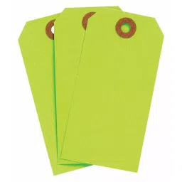 BRADY Plain 30 Points Fluorescent Green Blank Shipping Tag, 35RZ43 (Pack of 1000)-image-14