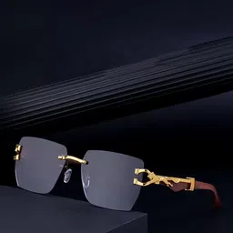HAYDEN haiza Men Rectangle Sunglasses with UV Protected Lens-37