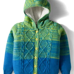 Babyhug Knitted Full Sleeves Hooded Front Open Sweater With Cable Knit Design - Green & Blue-picture-32