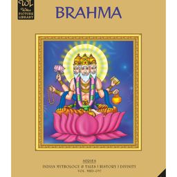 Wilco International Brahma - English-47