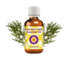 Deve Herbes Pure Red Cidar Essential Oil Steam Distilled - 100 ml-31