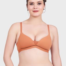 Luella Seamless Wire Free Lightly Padded Push Up Everyday Comfort & Support Bra-picture-26