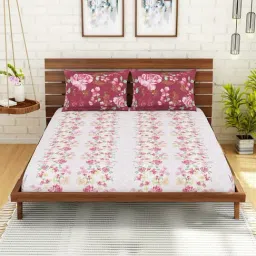 Spaces Pink 144 TC Cotton Queen Fitted Bed Sheet with 2 Pillow Covers-29