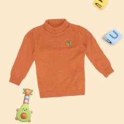 Pantaloons Baby Boys Bird Of Paradise Acrylic Printed Sweater-picture-47