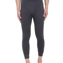 Neva Grey Regular Fit Thermal Bottoms-image-43