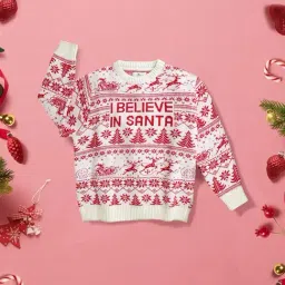 Cherry Crumble By Nitt Hyman Unisex Red & Cream Self Design Full Sleeves Sweater-image-20