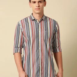 Allen Solly Multicolored Cotton Regular Fit Striped Shirt-image-38