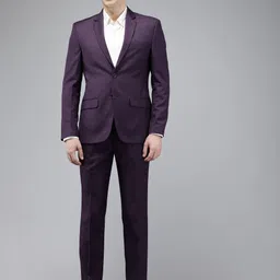 Park Avenue Single Breasted Slim Fit 2 Piece Formal Suits-image-57