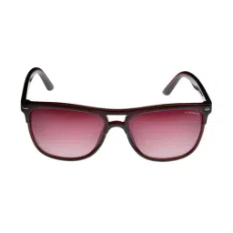 Giordano GA90199C10 Brown Wayfarer Sunglasses-image-74