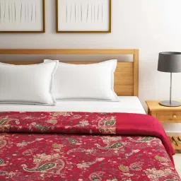 Swayam Shades of Paradise Wine Cotton 200 TC Double Size Winter Quilt - Set of 1-13