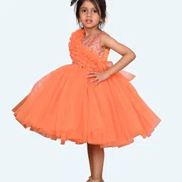 Modish Net Fit & Flare Dress image 3