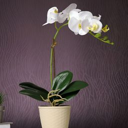 TAYHAA Beige 1 Pieces Orchid Artificial Plant With Pot-12