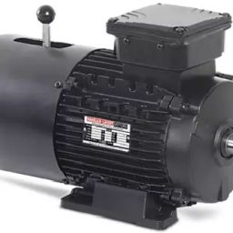 Havells Three Phase 2 HP 2 Pole Brake Motor, MHBY90SAA2-image-9