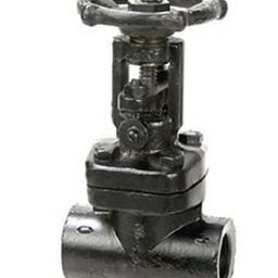Sant 15 mm Forged Steel Globe Valve FSV 6A-image-28