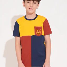 Jack & Jones Junior Boys Multicolor Cotton Color Block T-Shirt-picture-24