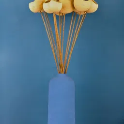 WEAVING HOMES Beige Textured Dried Natural Bael Flower-image-50