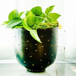 Gibox Black Wooden Vase-picture-18