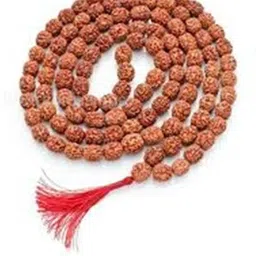 kesar zems Rudraksha Necklace-image-12