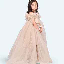 Modish Net Fit & Flare Maxi Dress image 2