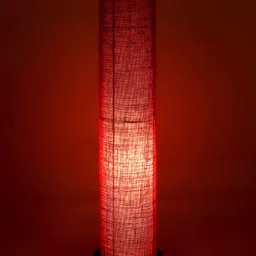 Devansh Pink & Black Cylinder FloorLamps-16