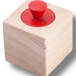 Kizoplay Wooden Pincer Puzzle-11